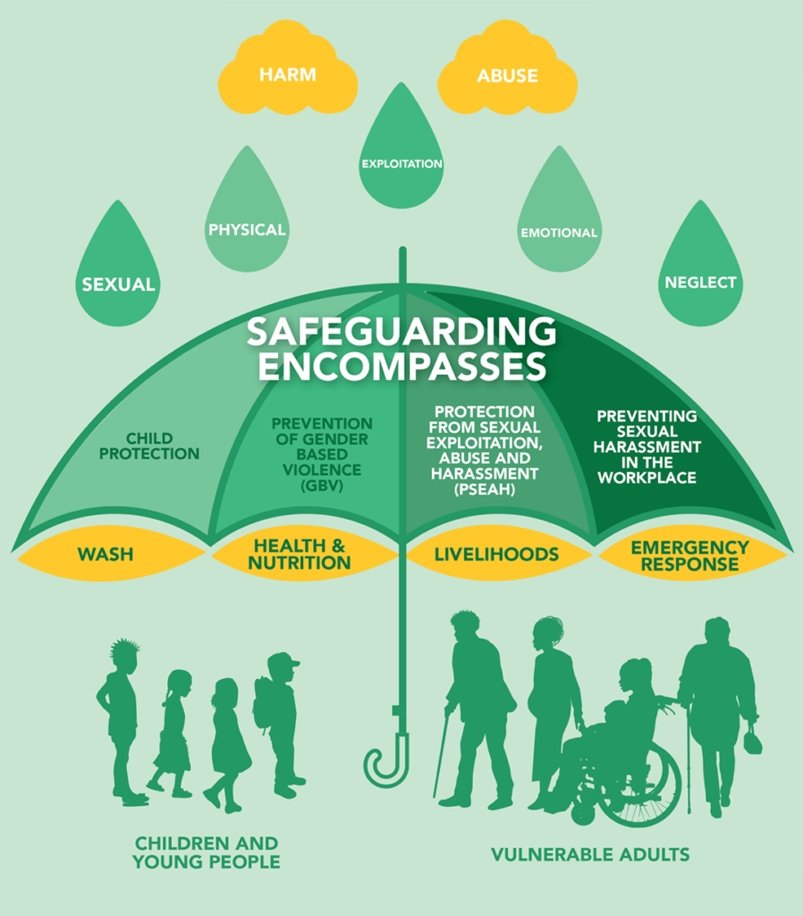 Safeguarding GOAL Global